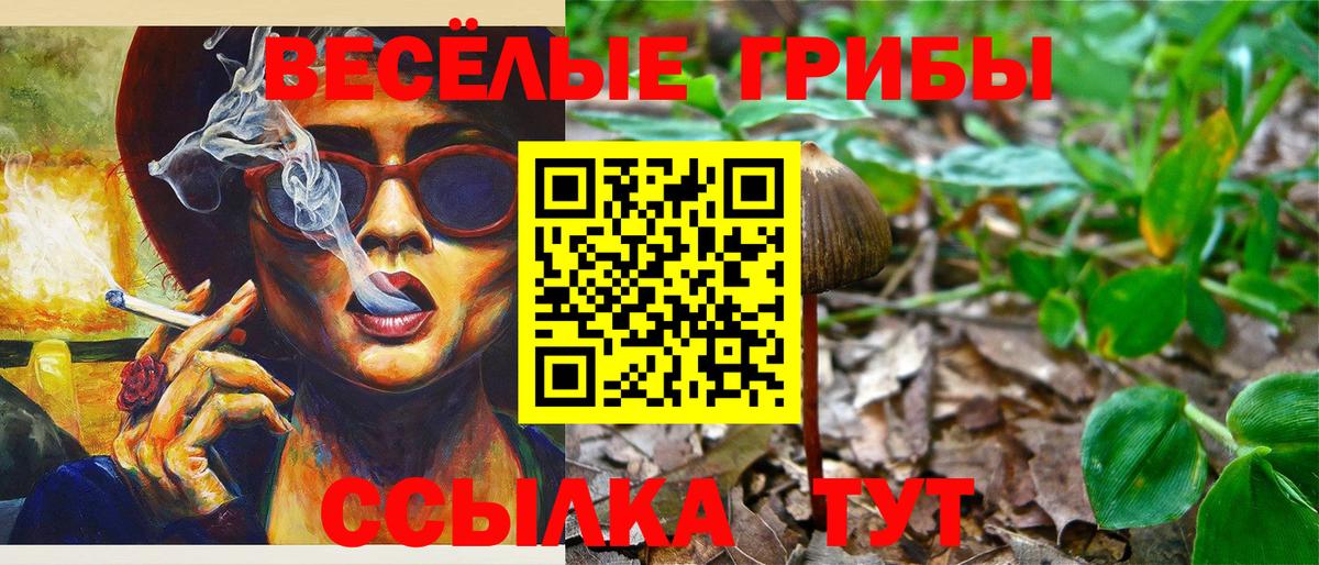 Галлюциногенные грибы Magic Shrooms Ртищево